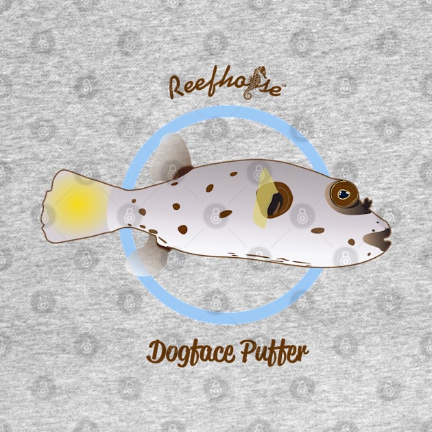 Dogface Puffer by Reefhorse